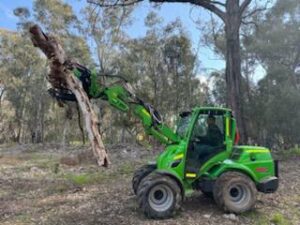 fallen tree removal